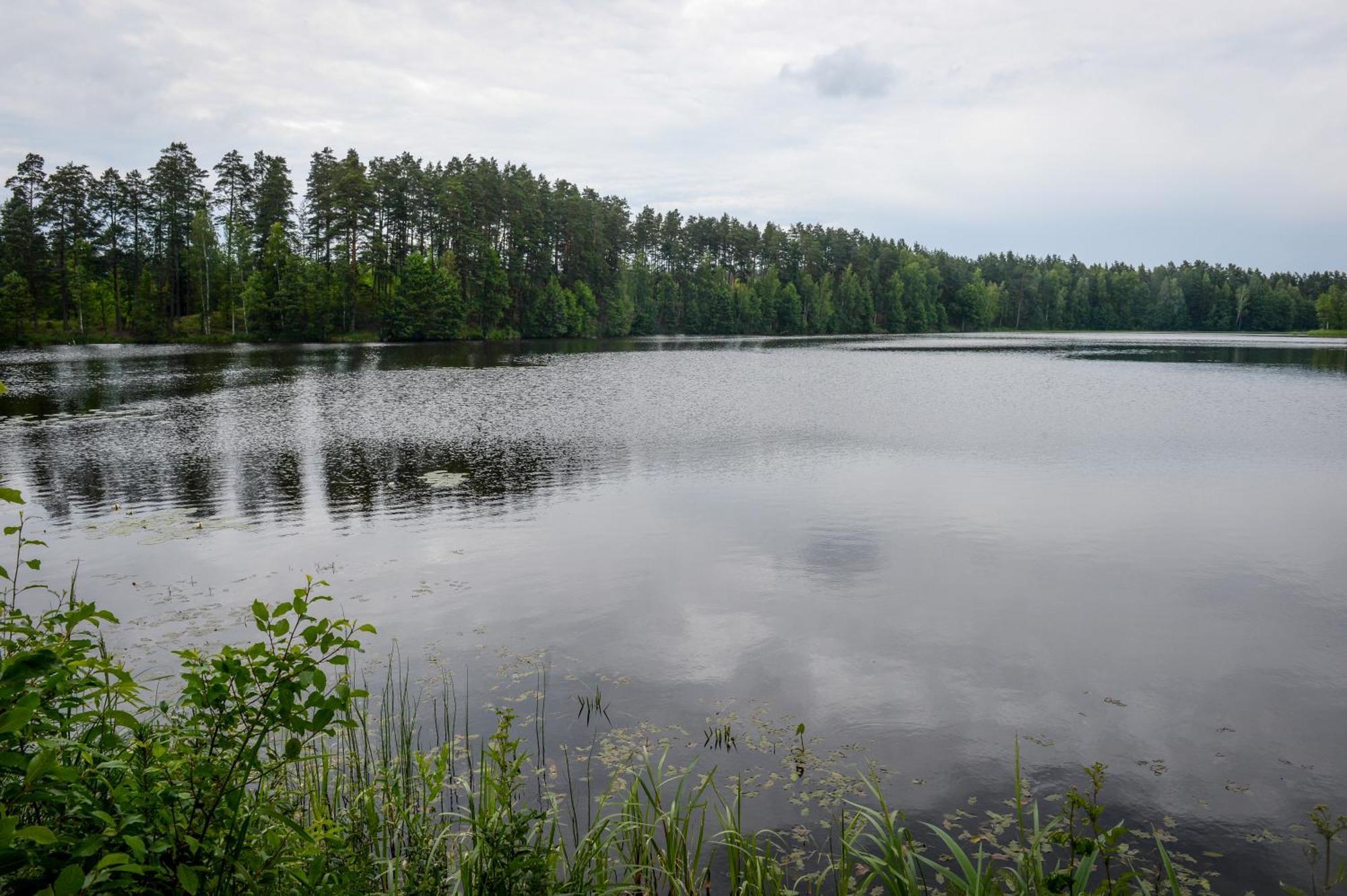 Alberta Diki Upesciems Habitación foto